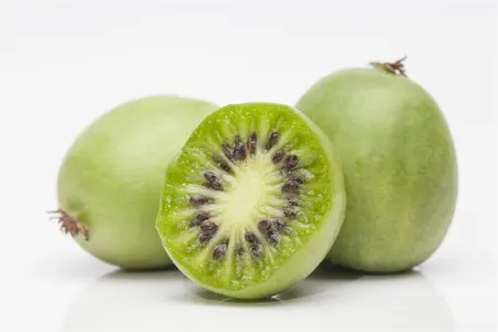 Actinidia arguta 'Japsai' - P9 - image 4