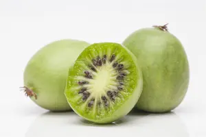 Actinidia arguta 'Japsai' - P9 - image 4