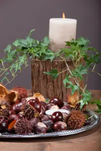 Aesculus hippocastanum - 20-25 CM - image 3