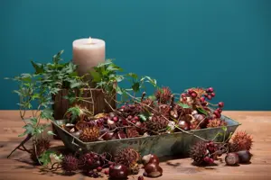 Aesculus hippocastanum - 20-25 CM - image 4