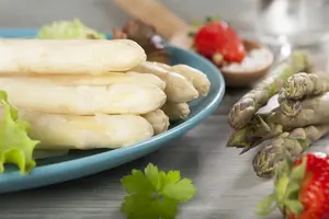 Asparagus officinalis 'Boonlim' - 2 Ltr pot - image 3