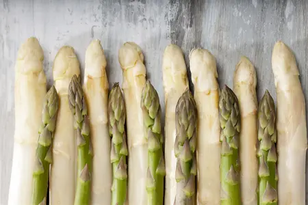 Asparagus officinalis 'Boonlim' - 2 Ltr pot - image 4