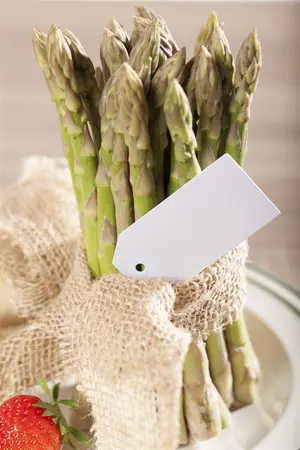 Asparagus officinalis 'Erasmus' - 2 Ltr pot - image 2