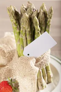 Asparagus officinalis 'Erasmus' - 2 Ltr pot - image 2