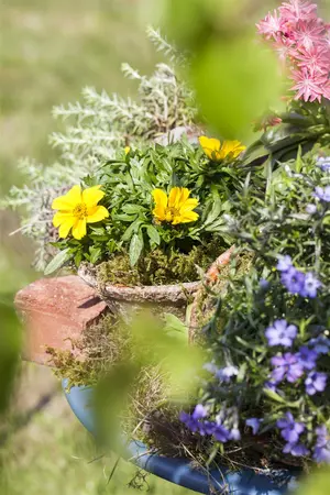 BIDENS 6*9cm Carry Pack - image 3