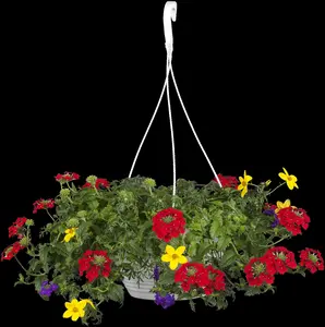 BIDENS