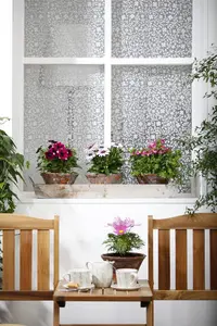 COSMOS MIXED midi 6 pack - image 1