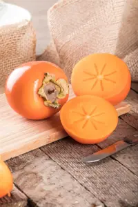 Diospyros lotus - 175-200  CM C20 - image 5