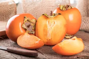 Diospyros lotus - 12 Ltr pot - image 1