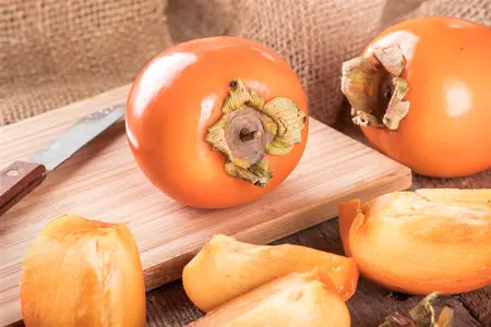 Diospyros lotus - 12 Ltr pot - image 3