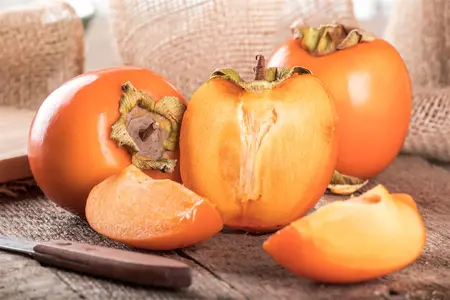 Diospyros lotus - MULTISTEM 150-175 CM RB - image 1