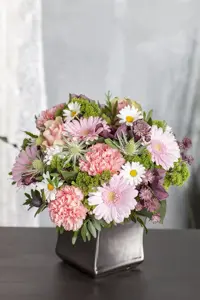 LEUCANTHEMUM LUNA
