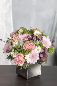 Leucanthemum vulgare