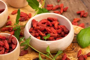 Lycium barbarum - 60-80 CM C2 - image 3