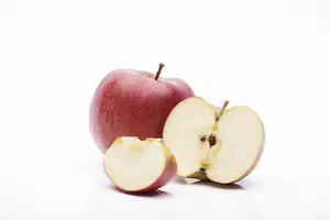 Malus dom. 'Braeburn' - 7L pot/2 yr bush - image 2