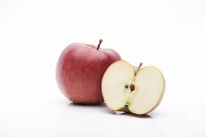 Malus dom. 'Braeburn' - 7L pot/2 yr bush - image 3