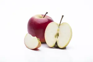 Malus dom. 'Elstar' - 1/2 STEM GIRTH 14-16 CM C35 - image 3