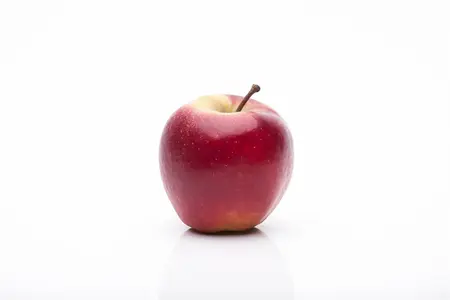 Malus dom. 'Elstar' - 1/2 STEM GIRTH 14-16 CM C35 - image 5