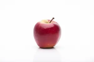 Malus dom. 'Elstar' - 1/2 STEM GIRTH 14-16 CM C35 - image 5