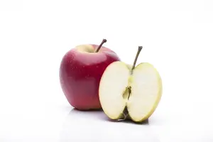 Malus dom. 'Elstar' - TRAINED 50 CM STEM, GIRTH 16-18 CM RB - image 4