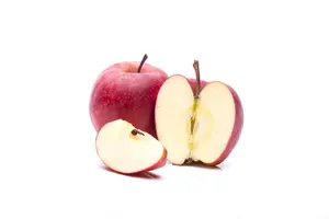 Malus dom. 'Gala' - DOUBLE U-SHAPE C30 - image 4