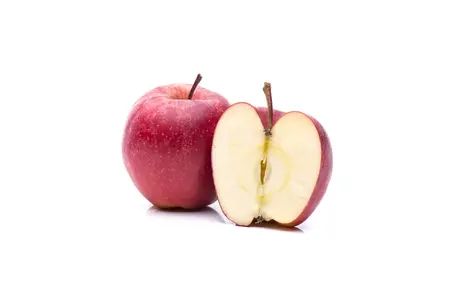 Malus dom. 'Gala' - DOUBLE U-SHAPE C30 - image 5
