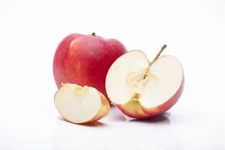 Malus dom. 'Jonagold' - U-SHAPE C25 - image 2