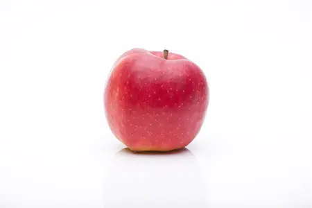 Malus dom. 'Jonagold' - U-SHAPE C25 - image 3