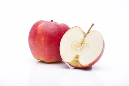 Malus dom. 'Jonagold' - 1/2 STEM GIRTH 14-16 CM RB - image 4