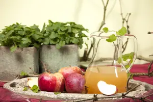 Malus dom. 'Schone van Boskoop' - STD 30-35 CM RB - image 5