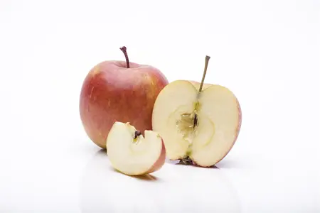 Malus domestica 'Fuji' - 125-150 CM BR WHIP - image 3