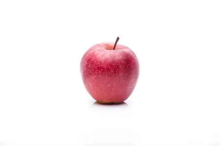 Malus domestica Gala Must - 1/2 STDS C7.5 - image 5