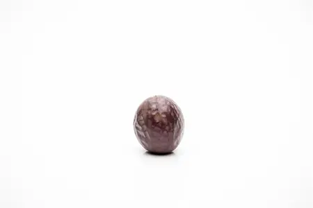 Passiflora edulis - 2 Ltr, single cane - image 1