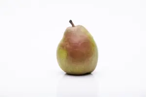 PEAR DOY DU COM QA 12L - image 3
