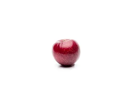 PLUM GUINEVERE VVA-1 12L - image 5