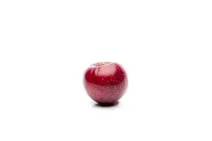 PLUM GUINEVERE VVA-1 12L - image 5