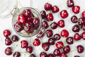 Prunus avium - 4-6HO RB - image 4