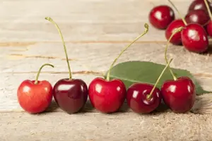 Prunus avium 'Pater van Mansfeld' - 1/2 STDS BR - image 5