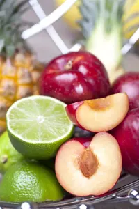 Prunus domestica 'Belle de Louvain' - 2 YR BUSH - image 4