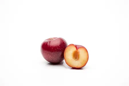 Prunus domestica 'Washington' - 1/2 STEM, GIRTH 10-12 CM C25 - image 4