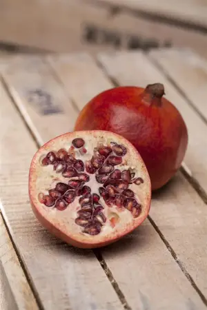 Punica granatum - 2 Ltr, single cane - image 3