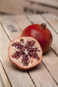 Punica granatum - 2 Ltr, single cane - image 3