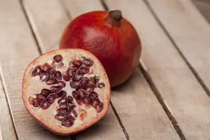 Punica granatum - LINERS P9 - image 4