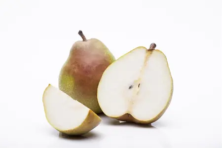 Pyrus c. 'Doyenn? du Comice' - 1/2 STDS C7.5 - image 1