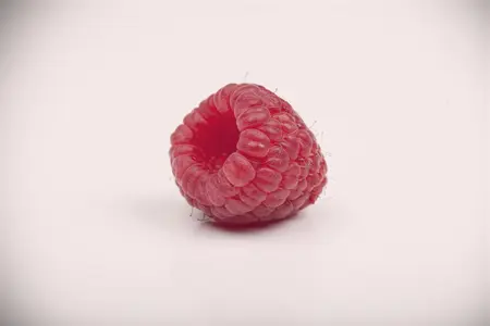 RASPBERRY MALLING JEWEL 3LD - image 4