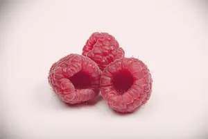 RASPBERRY MALLING JEWEL 3LD - image 5