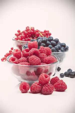 Ribes rubrum (white) - P9 - image 3