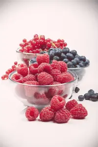 Ribes rubrum (white) - P9 - image 3