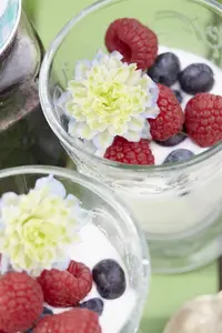 Rubus idaeus 'Black Jewel' - 2 Ltr, 4 canes - image 4