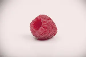 Rubus idaeus 'Hararasp' (Raspbeary) - 50-60 CM PYR C4 - image 4